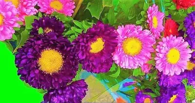 flores jigsaw puzzle