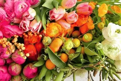 flores