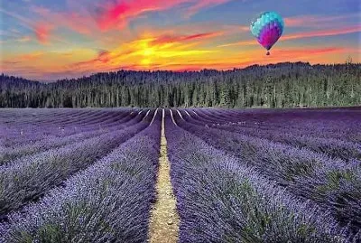 flores jigsaw puzzle