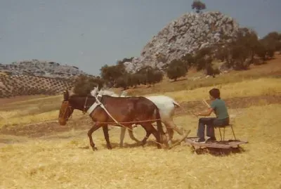 la trilla