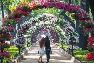 jardin