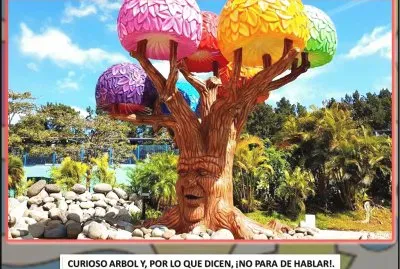 CURIOSO ARBOL Y, POR LO QUE DICEN, Â¡NO PARA DE HA