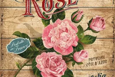 rose