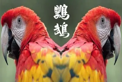 JSPuzzles-åœ–ç‰‡å»Š (å°ç¨±)