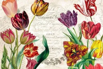 tulipani jigsaw puzzle