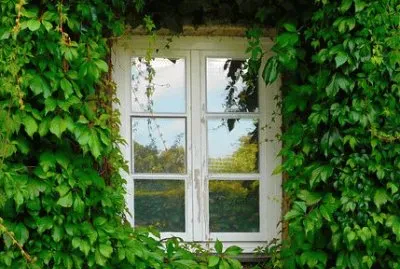 Imagem jigsaw puzzle