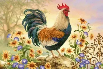 פאזל של gallo