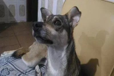 paÃ§oca