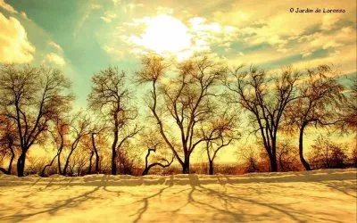 imagem jigsaw puzzle