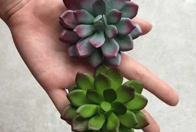 natural
