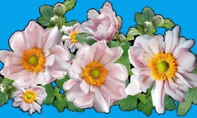 OK jigsaw puzzle