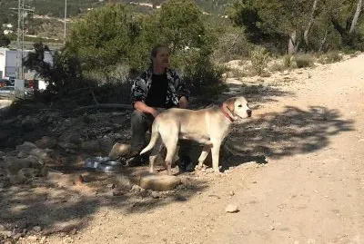 Dog up for adoption: Baloo