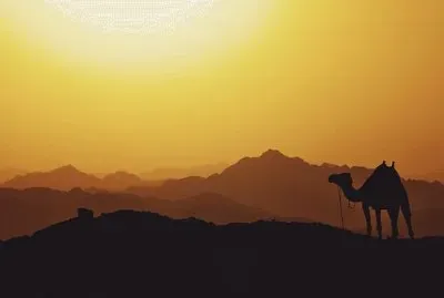 Imagem jigsaw puzzle