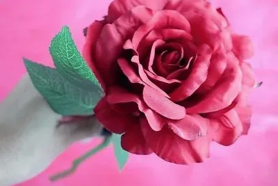 flores