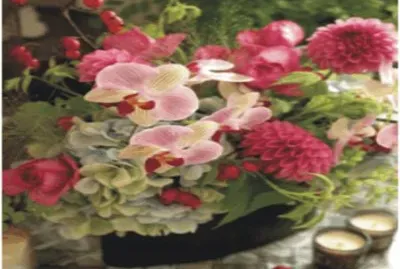 Flowers