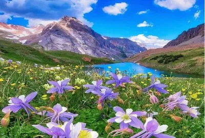 valle