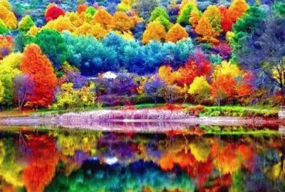 color