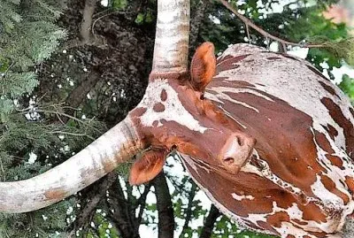 natural
