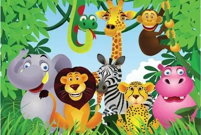 Safari