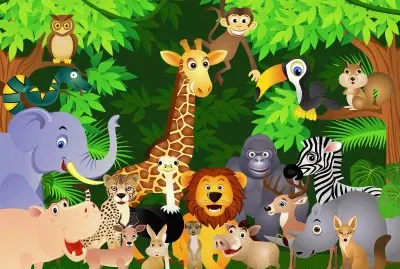 Safari