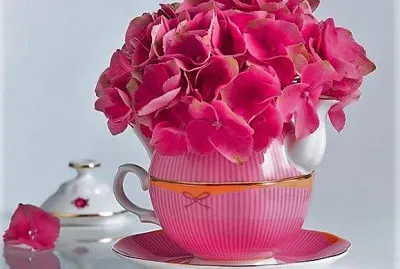 flores