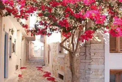 Naxos, cÃ­cladas, Grecia