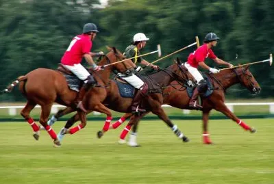 POLO