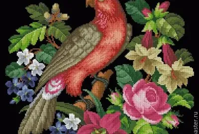 פאזל של bird