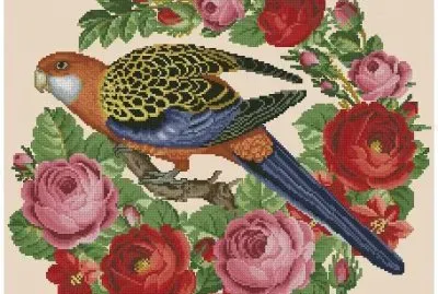פאזל של bird