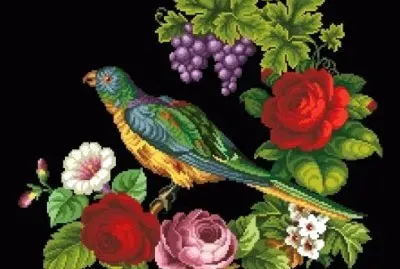 פאזל של bird