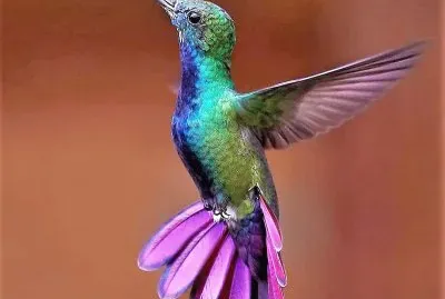 natural