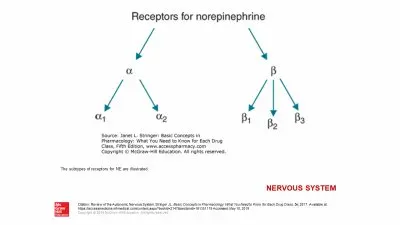 kimberly barrero jigsaw puzzle