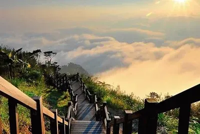 natural jigsaw puzzle