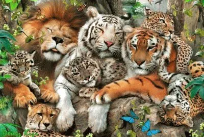 1 jigsaw puzzle