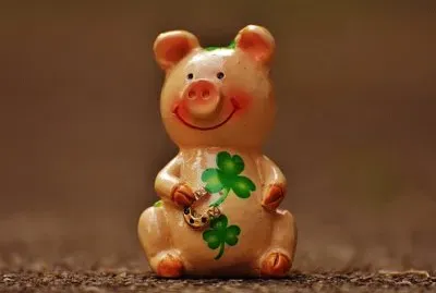 Imagem jigsaw puzzle