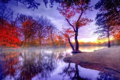 PAISAJE