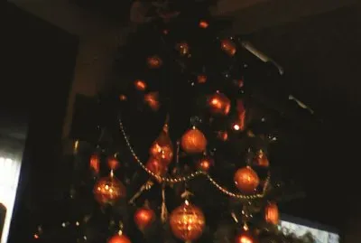 de plantas y otras cosas