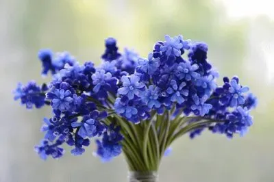 Imagem jigsaw puzzle