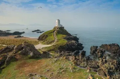Imagem jigsaw puzzle