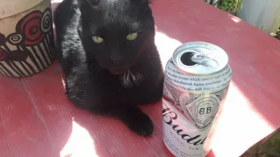 EL GUAPO jigsaw puzzle