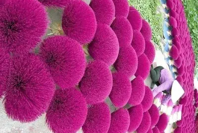 flores