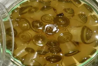 פאזל של Imagem