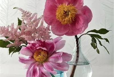 flores