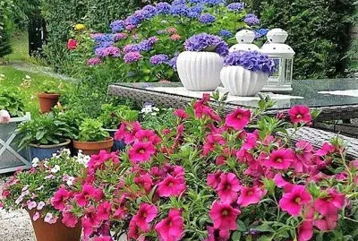 flores