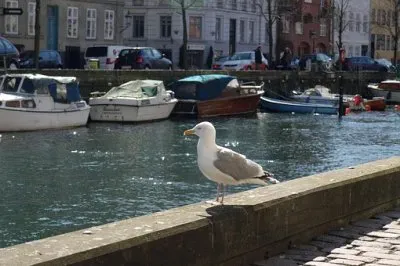 Imagem jigsaw puzzle