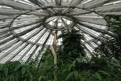 Imagem jigsaw puzzle