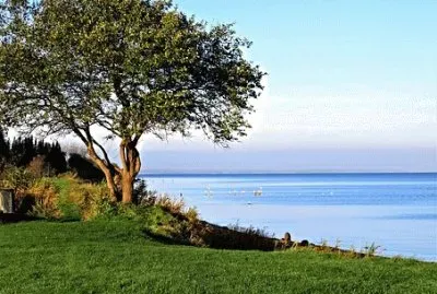 Imagem jigsaw puzzle