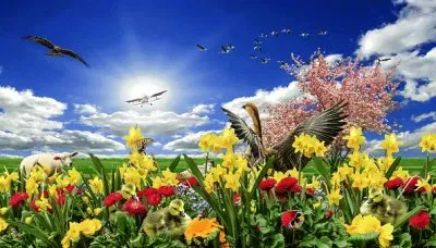 Imagem jigsaw puzzle