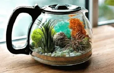 Peixes