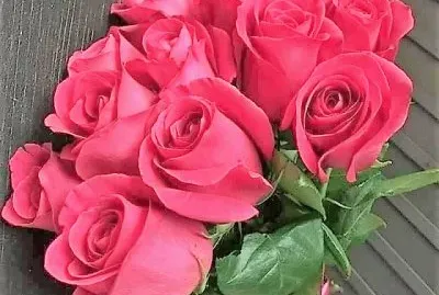 flores